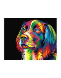 מספר וצבע – כלב