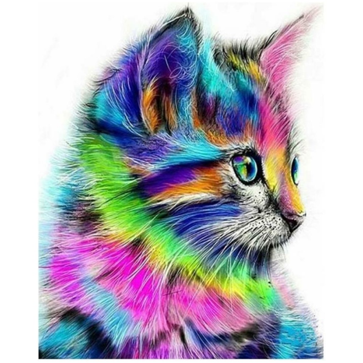 מספר וצבע אומנות חתול צביעה למבוגרים מה לעשות בשעות הפנאי? פעילות פנאי