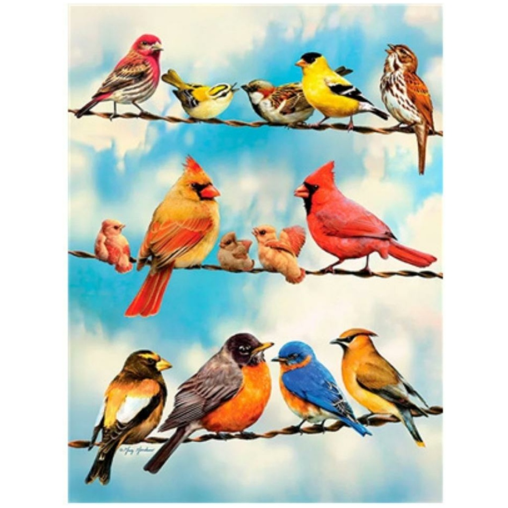 מספר וצבע אומנות ציפורים ציפור ציור צביעה צביעה למבוגרים מה לעשות בשעות הפנאי? פעילות פנאי