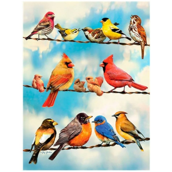 מספר וצבע אומנות ציפורים ציפור ציור צביעה צביעה למבוגרים מה לעשות בשעות הפנאי? פעילות פנאי