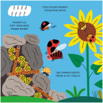חיפושית ספר פעוטות קרטון ילדים ספר מתנה מבצע טבע אקולוגי טבעוני מונטסורי