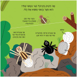 עכביש ספר פעוטות קרטון ילדים ספר מתנה מבצע טבע אקולוגי טבעוני מונטסורי