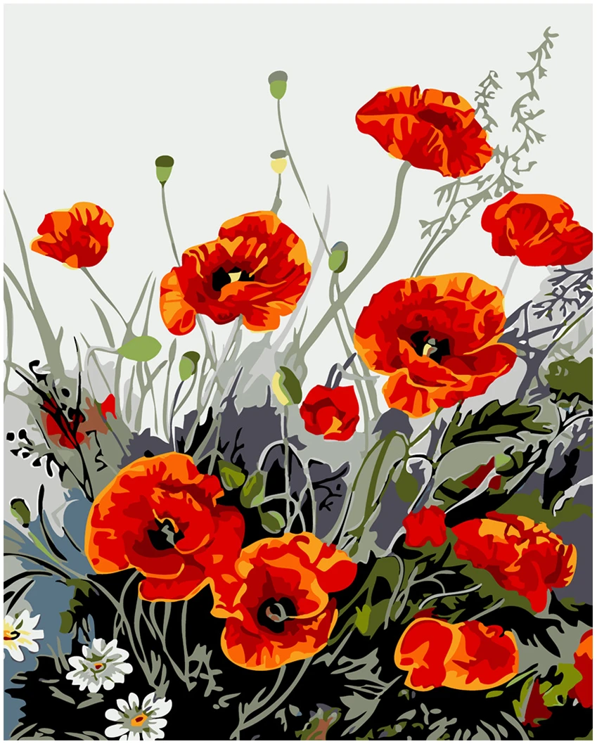 LR023-40x50cm-PaintByNumbers מספר וצבע - כלניות – תמונה 1