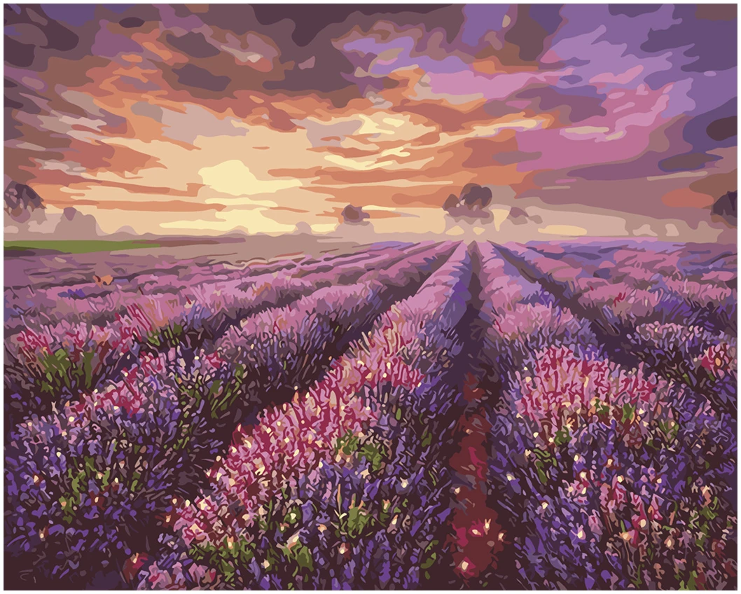 LR025-40x50cm-PaintByNumbers מספר וצבע - שדה לבנדר – תמונה 1